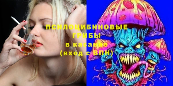 соль ск Верхнеуральск