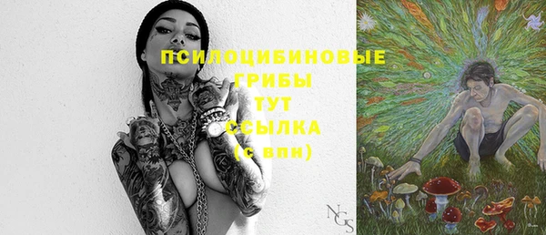 молекула духа Володарск