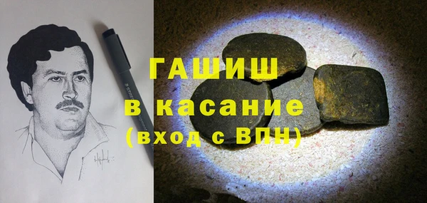 PSILOCYBIN Бородино