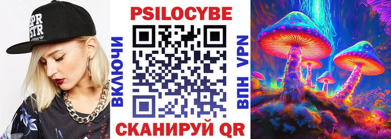 shop официальный сайт  где купить наркотик  Вилючинск  Галлюциногенные грибы GOLDEN TEACHER 